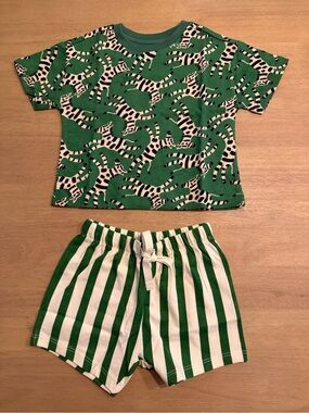 Relaxed Fit T-Shirt and Shorts Set in Roaming Zebras Print